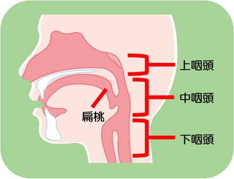 わたなべ耳鼻咽喉科上咽頭炎