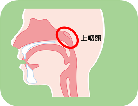 わたなべ耳鼻咽喉科上咽頭炎